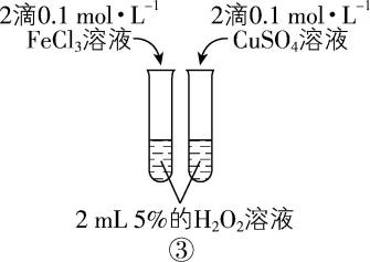 试题资源网 https://stzy.com