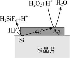 试题资源网 https://stzy.com