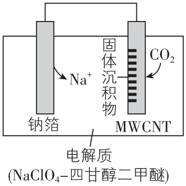 试题资源网 https://stzy.com