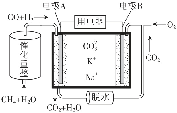 试题资源网 https://stzy.com