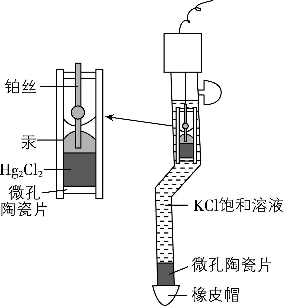 试题资源网 https://stzy.com