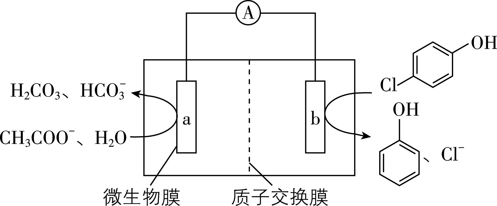 试题资源网 https://stzy.com