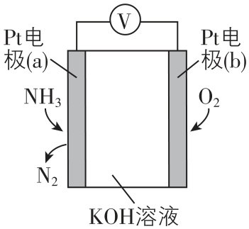 试题资源网 https://stzy.com