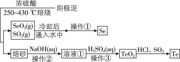 试题资源网 https://stzy.com