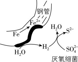 试题资源网 https://stzy.com