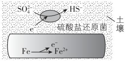 试题资源网 https://stzy.com