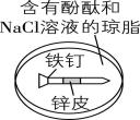 试题资源网 https://stzy.com