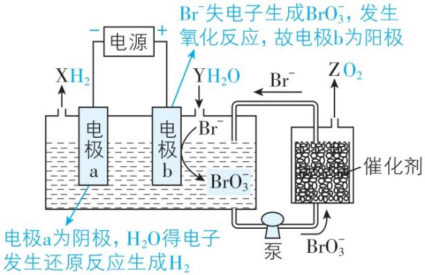 试题资源网 https://stzy.com