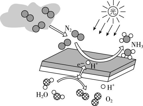 试题资源网 https://stzy.com