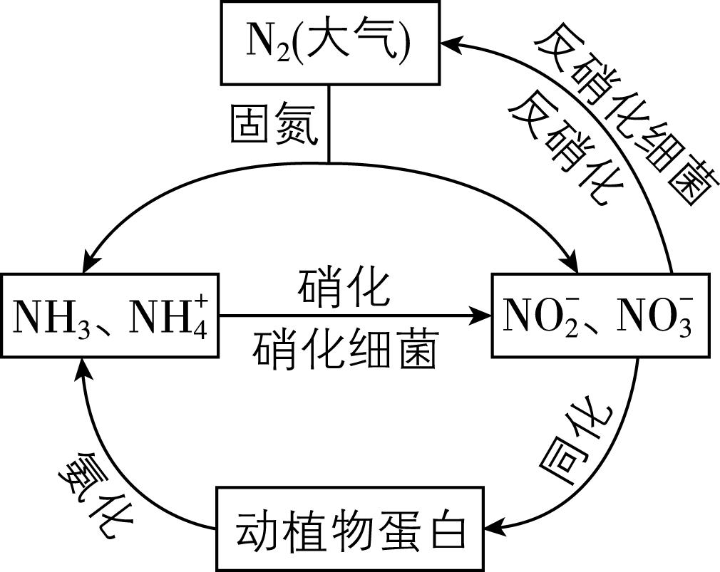 试题资源网 https://stzy.com