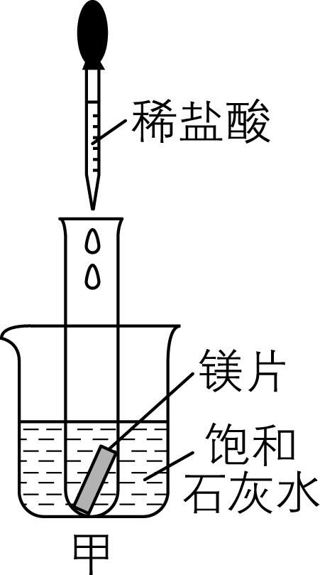 试题资源网 https://stzy.com