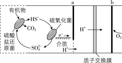 试题资源网 https://stzy.com