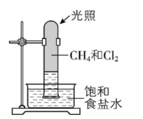 试题资源网 https://stzy.com