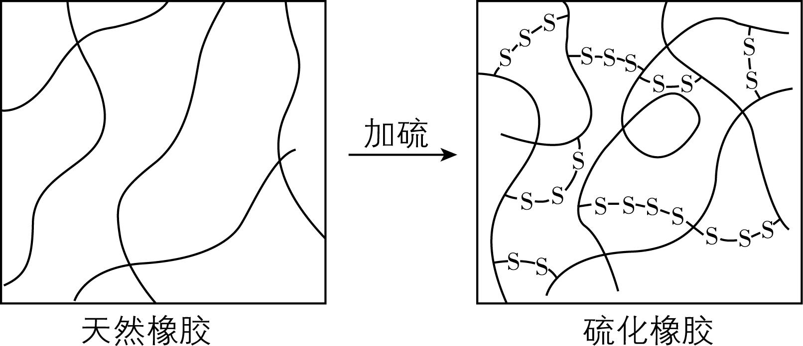 试题资源网 https://stzy.com