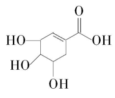 试题资源网 https://stzy.com