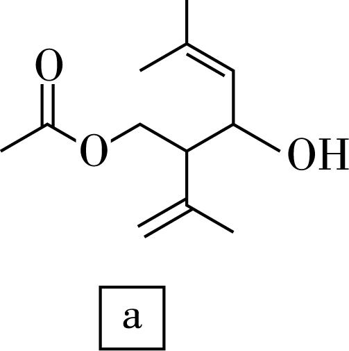 试题资源网 https://stzy.com