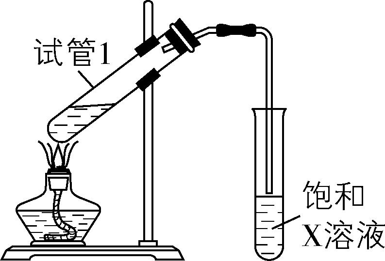 试题资源网 https://stzy.com