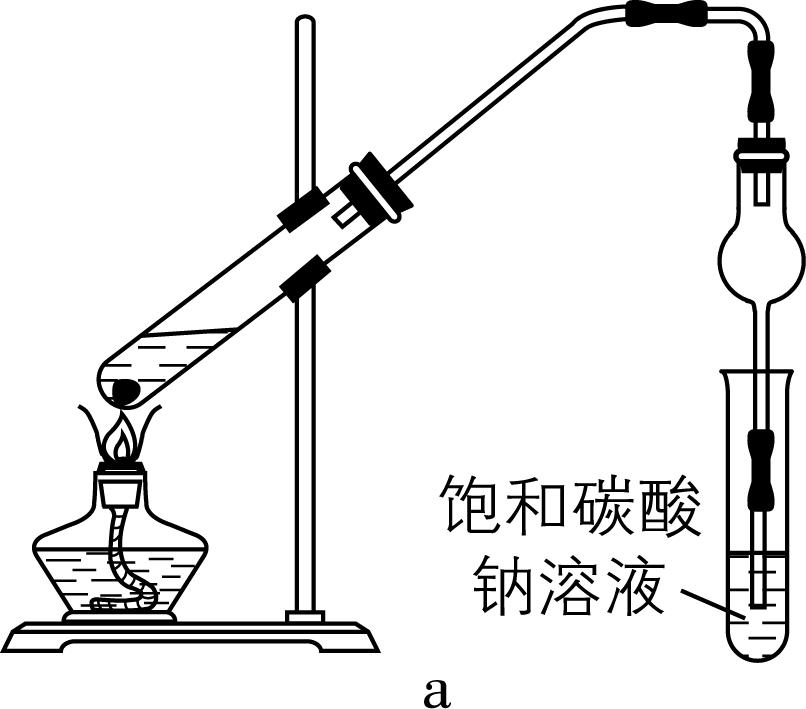 试题资源网 https://stzy.com