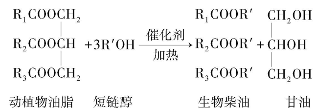 试题资源网 https://stzy.com