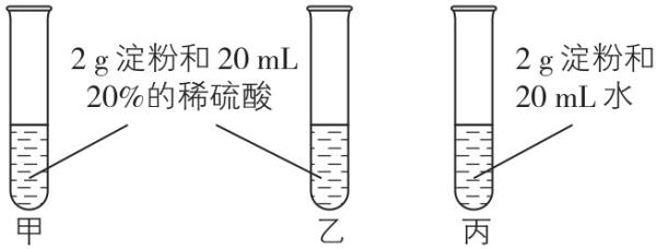 试题资源网 https://stzy.com
