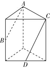 试题资源网 https://stzy.com