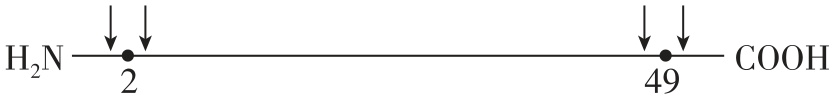 试题资源网 https://stzy.com