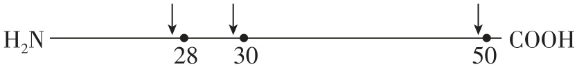 试题资源网 https://stzy.com
