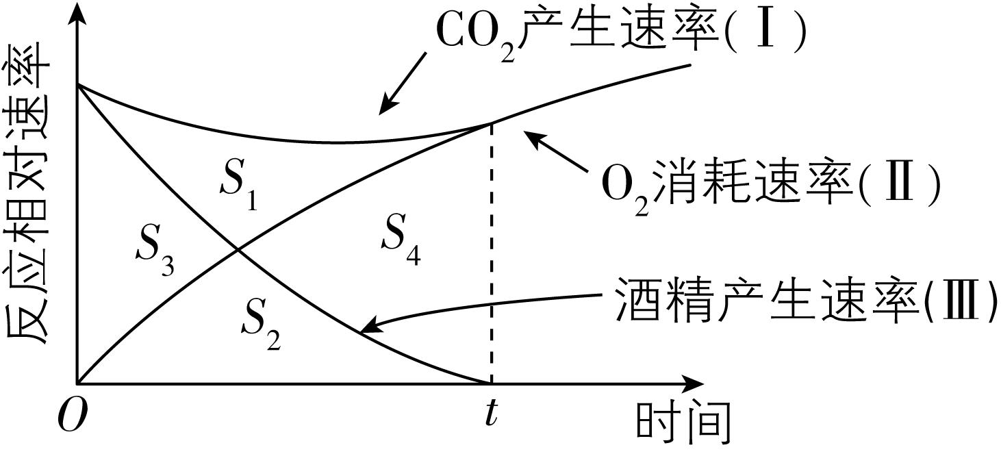 试题资源网 https://stzy.com