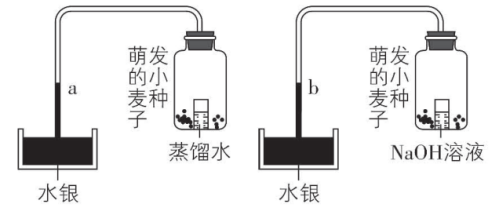 试题资源网 https://stzy.com