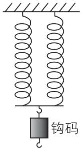试题资源网 https://stzy.com