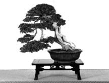 试题资源网 https://stzy.com