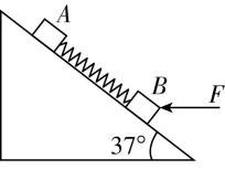 试题资源网 https://stzy.com