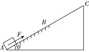 试题资源网 https://stzy.com