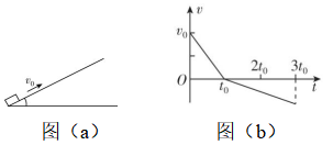 试题资源网 https://stzy.com