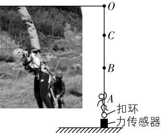 试题资源网 https://stzy.com
