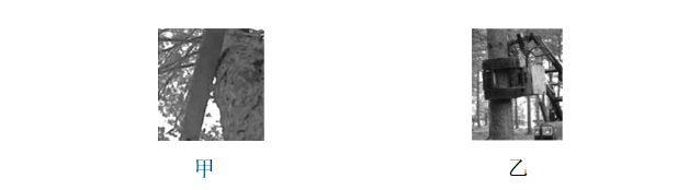 试题资源网 https://stzy.com