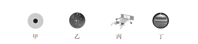 试题资源网 https://stzy.com