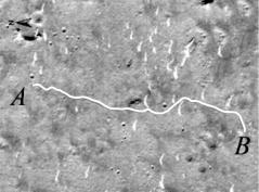 试题资源网 https://stzy.com