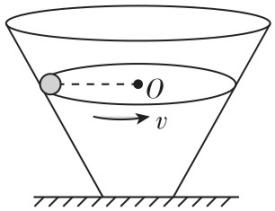 试题资源网 https://stzy.com