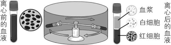 试题资源网 https://stzy.com