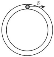 试题资源网 https://stzy.com