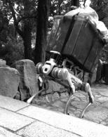 试题资源网 https://stzy.com