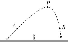 试题资源网 https://stzy.com