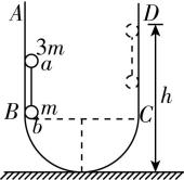 试题资源网 https://stzy.com