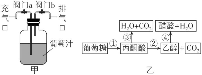 试题资源网 https://stzy.com