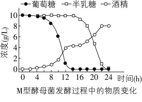 试题资源网 https://stzy.com