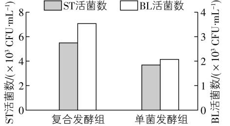 试题资源网 https://stzy.com