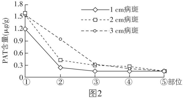 试题资源网 https://stzy.com