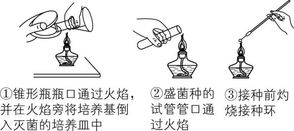 试题资源网 https://stzy.com