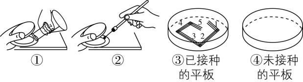 试题资源网 https://stzy.com